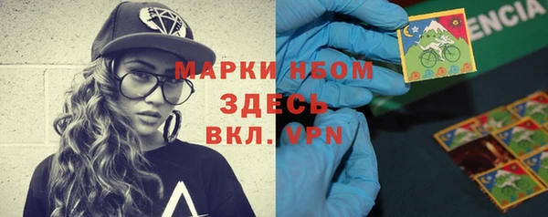 гидра Алексин