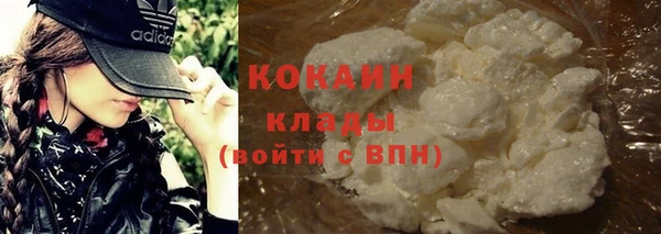 гидра Алексин