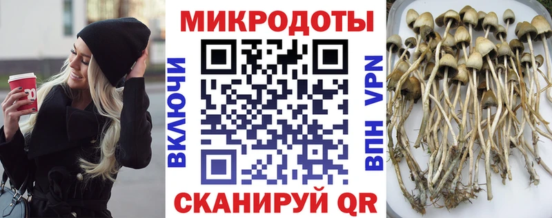 Галлюциногенные грибы MAGIC MUSHROOMS  Фурманов 